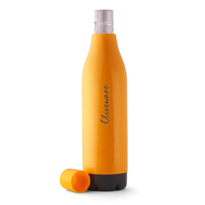 Rivo Water Bottle (700 ML)