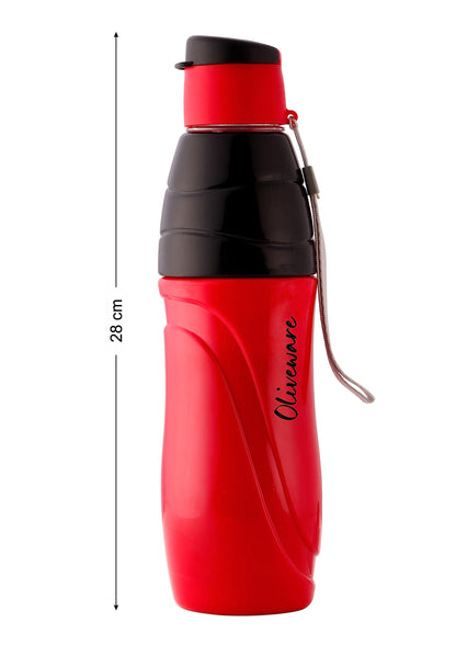 Eagle Water Bottle (500 ML)