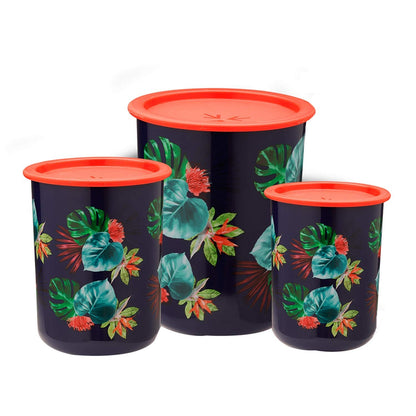Pasha Containers - Set of 3